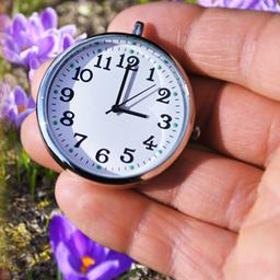 Fotomontage: Schwarze Uhr auf Herbstblatt und weiße Uhr vor Krokussen im Frühling