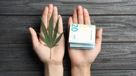 Frauenhände mit einer Hanfpflanze und 20-Euro-Scheinen